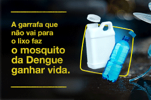 Beltrão - Dengue - agosto